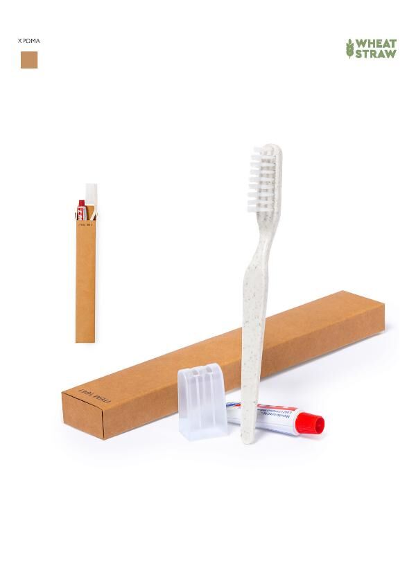 SET DENTAL KIT